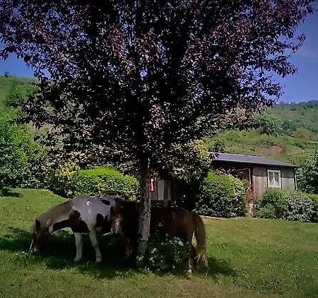 La Fregiere Chalets Clairvaux-d'Aveyron Экстерьер фото