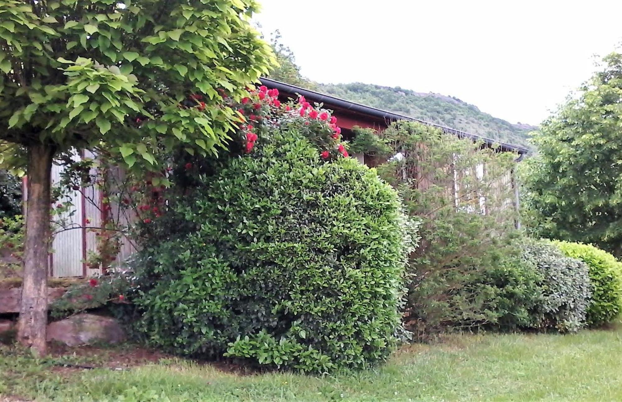 La Fregiere Chalets Clairvaux-d'Aveyron Экстерьер фото