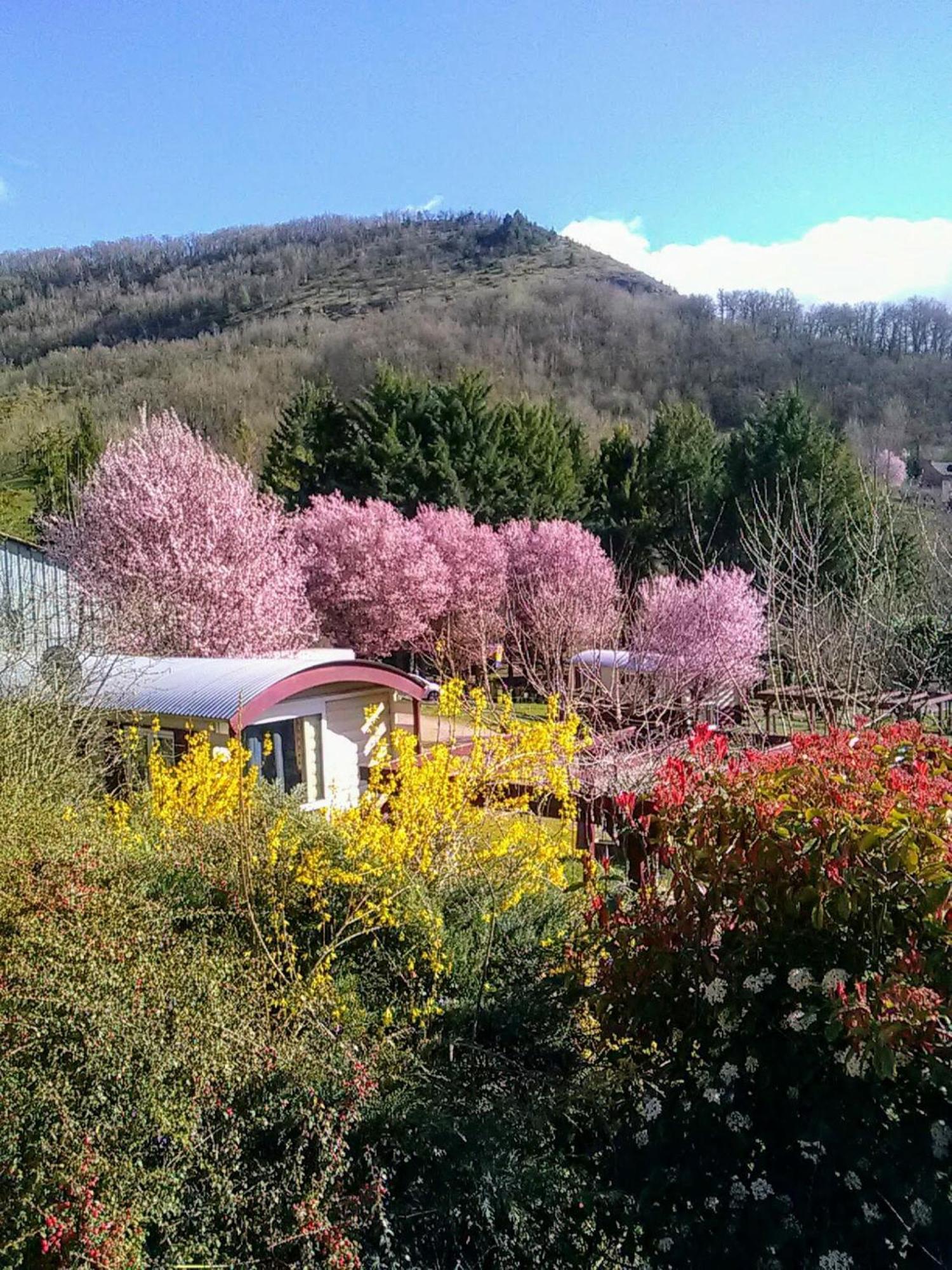 La Fregiere Chalets Clairvaux-d'Aveyron Экстерьер фото