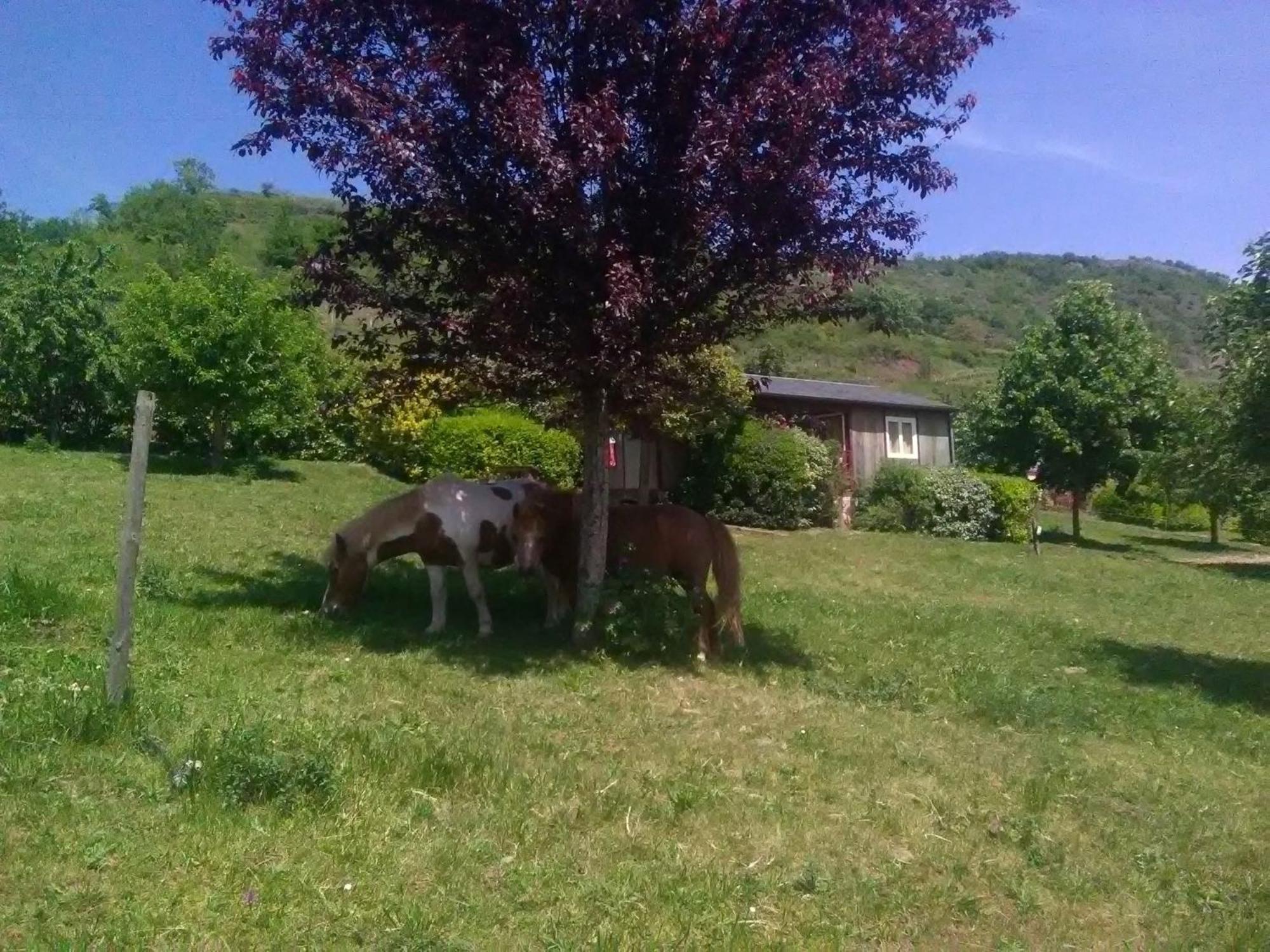 La Fregiere Chalets Clairvaux-d'Aveyron Экстерьер фото