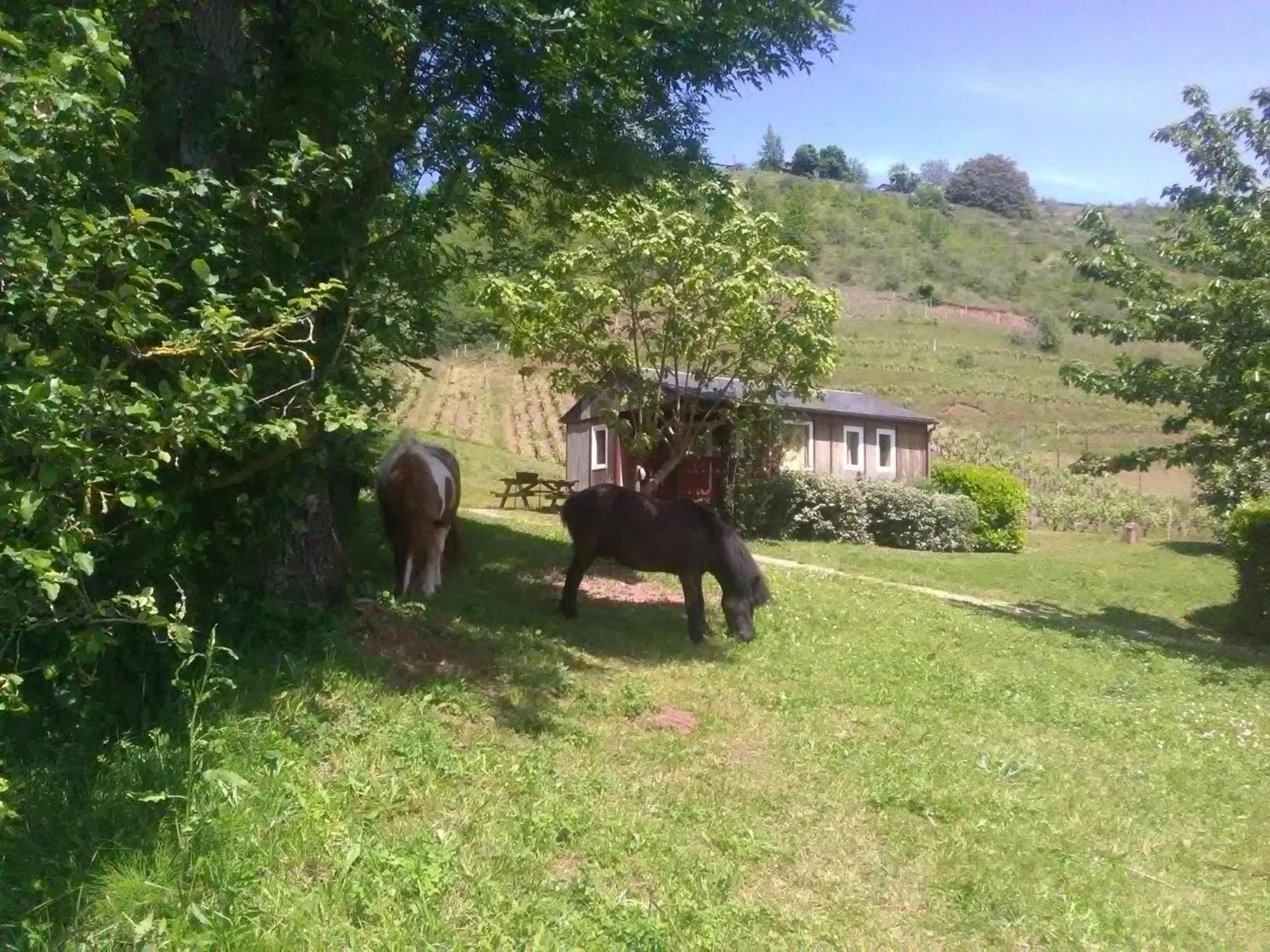 La Fregiere Chalets Clairvaux-d'Aveyron Экстерьер фото