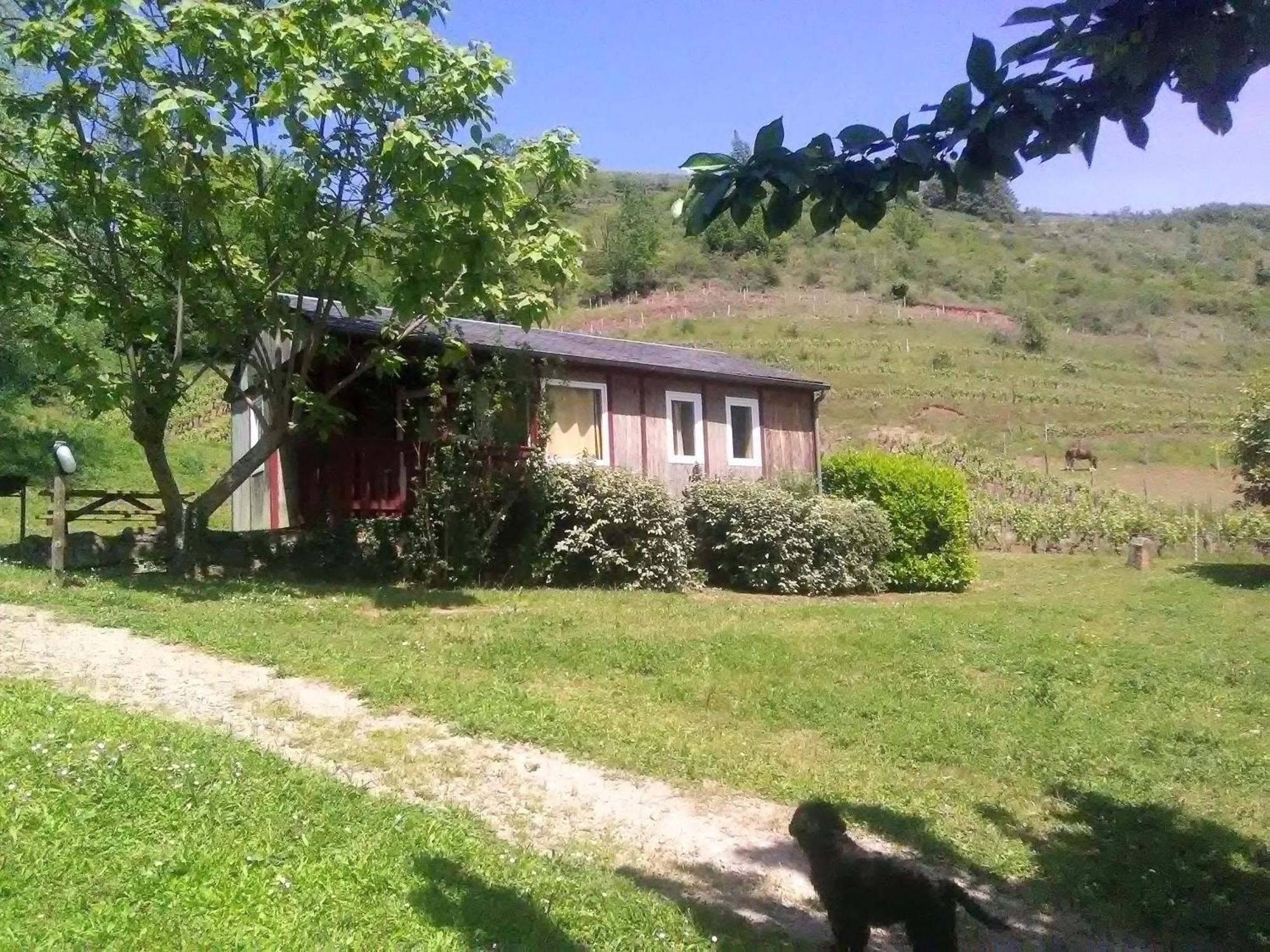 La Fregiere Chalets Clairvaux-d'Aveyron Экстерьер фото