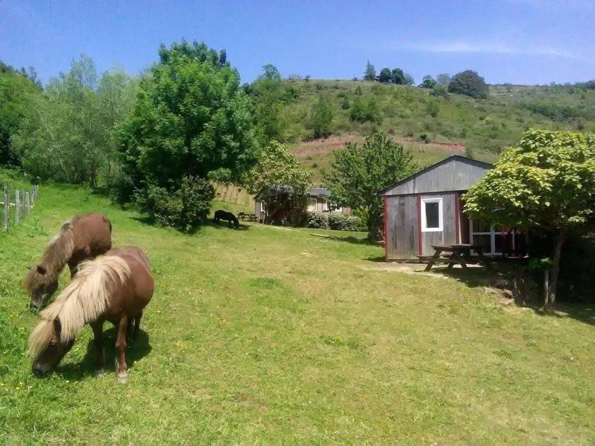 La Fregiere Chalets Clairvaux-d'Aveyron Экстерьер фото