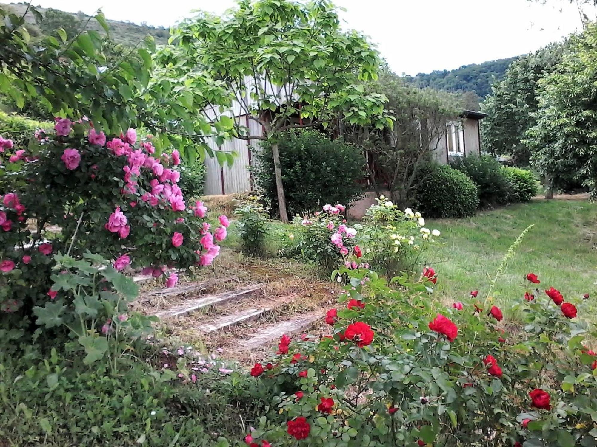 La Fregiere Chalets Clairvaux-d'Aveyron Экстерьер фото