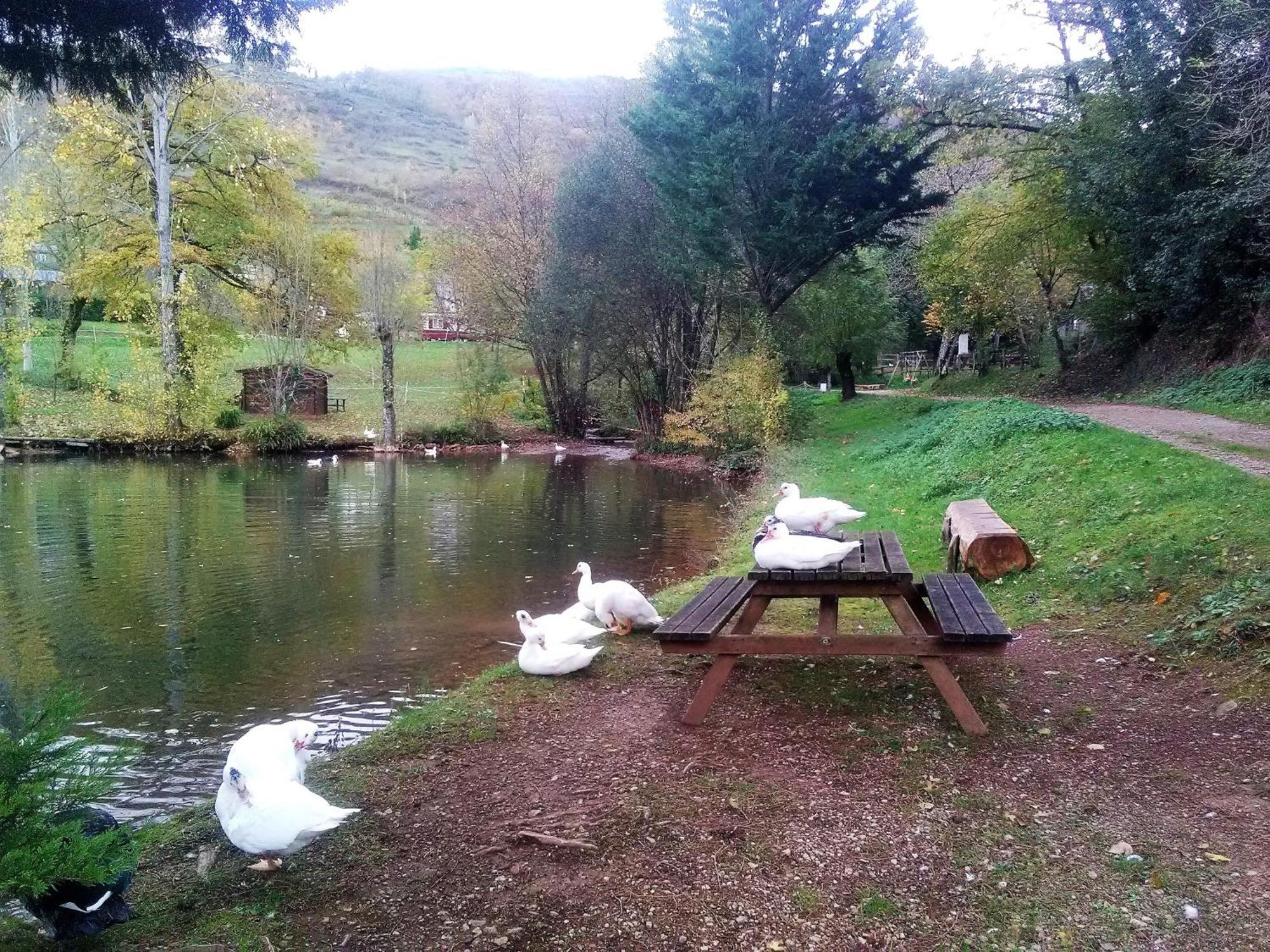 La Fregiere Chalets Clairvaux-d'Aveyron Экстерьер фото